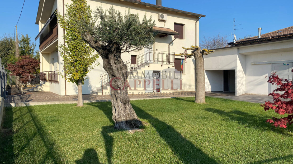 video image