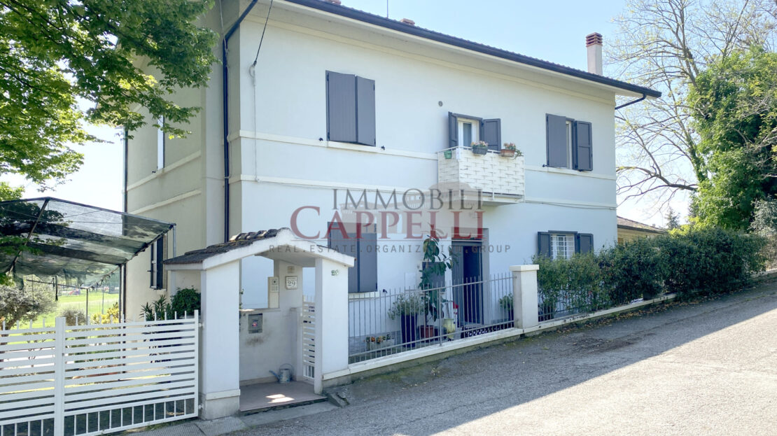 video image