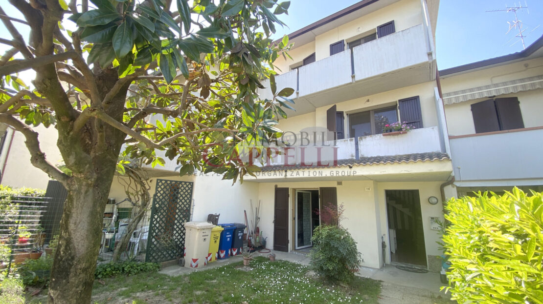 video image