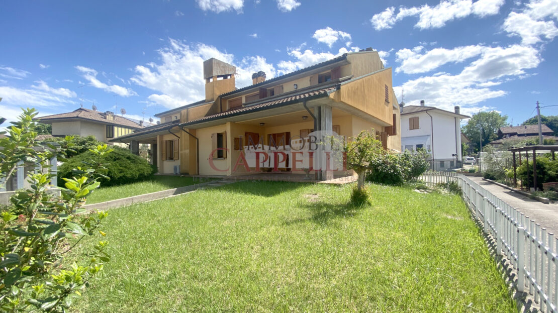 video image