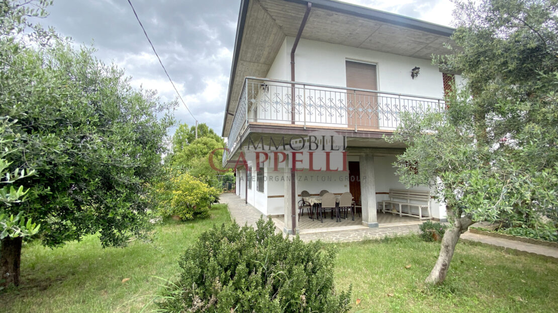 video image